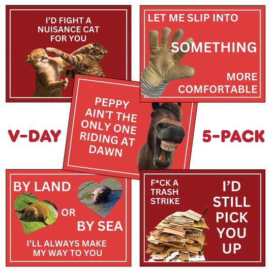Entering Beverly Valentine's Day Card 5-Pack (2026)
